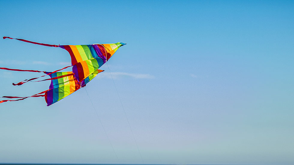 Faire front commun en tant qu’une BGO UNIE