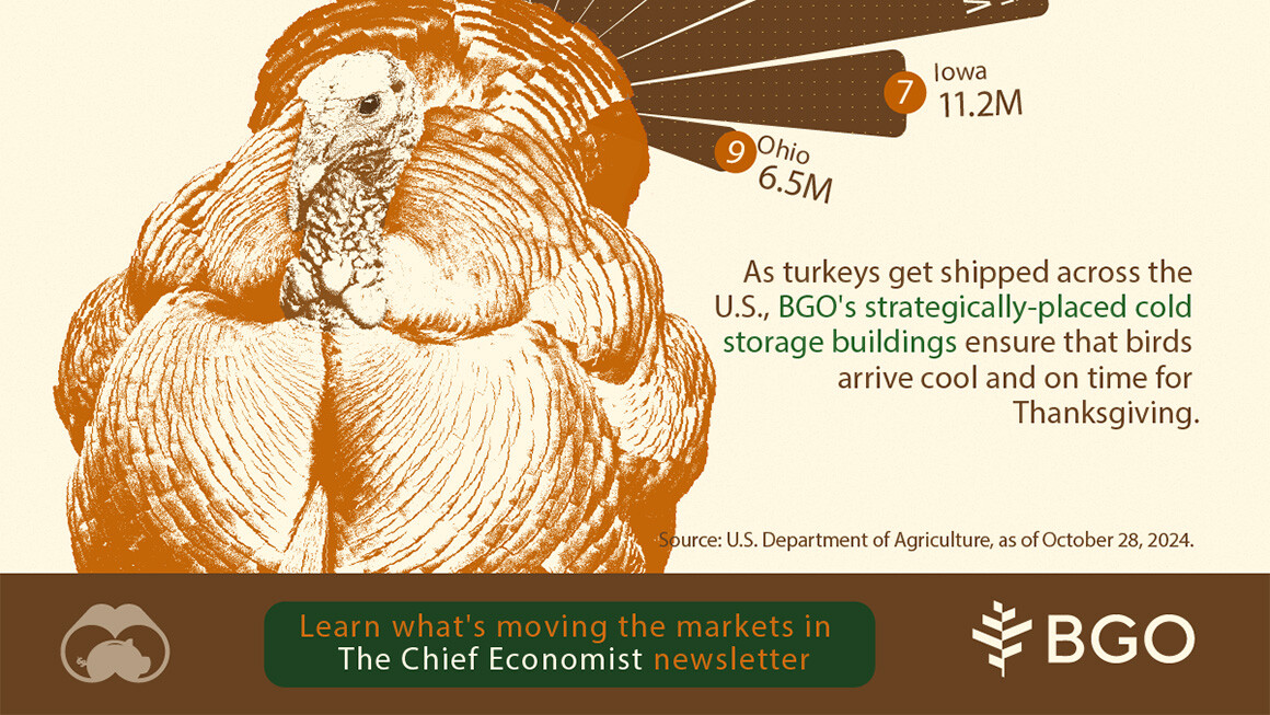Visual Capitalist: U.S. States Producing the Most Turkeys in 2024
